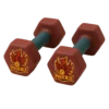 Phoenix Hex Dumbbells
