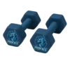 Phoenix Hex Dumbbells