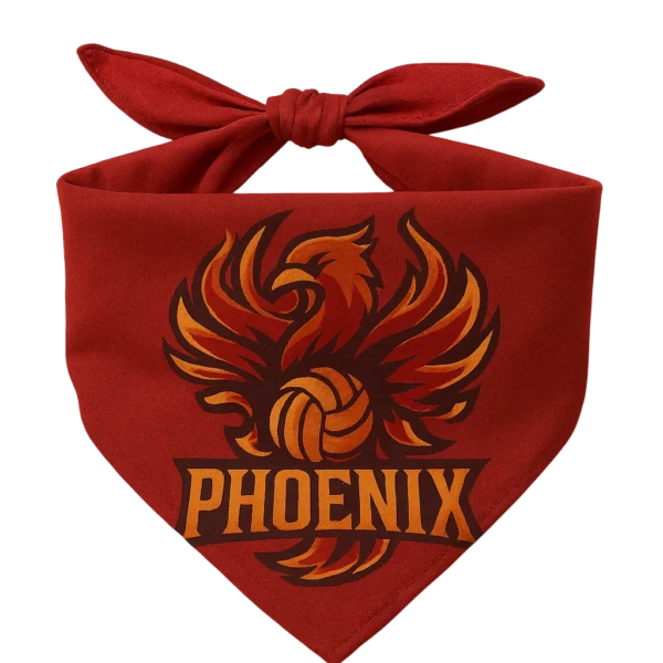 Phoenix Sports Bandana
