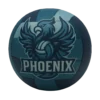 Phoenix Volleyball Competition Ball