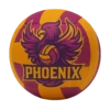 Phoenix Volleyball Competition Ball