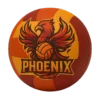 Phoenix Volleyball Competition Ball