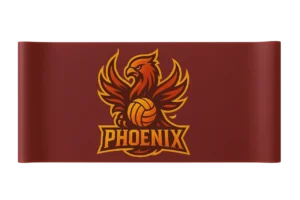 Phoenix Power Resistance Band