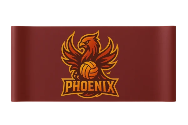Phoenix Power Resistance Band
